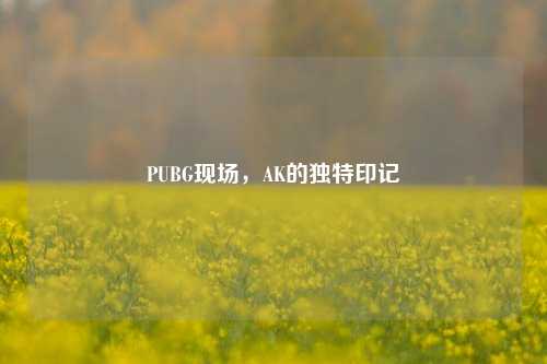 PUBG现场,AK的独特印记