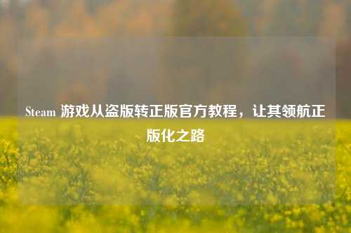 Steam 游戏从盗版转正版官方教程,让其领航正版化之路