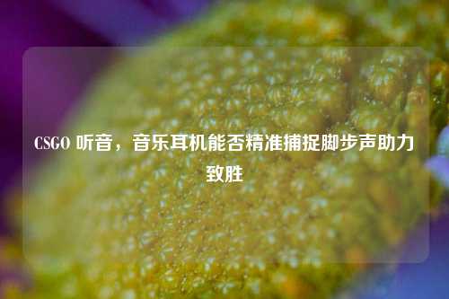CSGO 听音,音乐耳机能否精准捕捉脚步声助力致胜