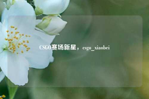 CSGO赛场新星,csgo_xiaobei
