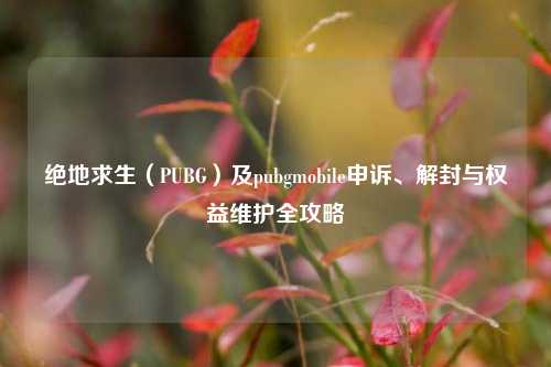 绝地求生(PUBG)及pubgmobile申诉、解封与权益维护全攻略