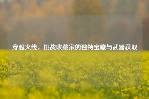 穿越火线,挑战收藏家的独特宝藏与武器获取
