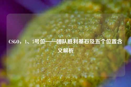 CSGO,1、5号位——团队胜利基石及五个位置含义解析
