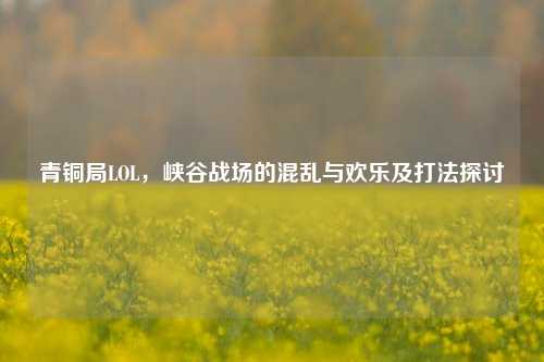 青铜局LOL,峡谷战场的混乱与欢乐及打法探讨
