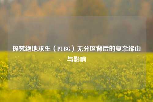 探究绝地求生(PUBG)无分区背后的复杂缘由与影响