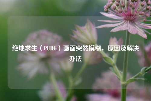 绝地求生(PUBG)画面突然模糊,原因及解决办法