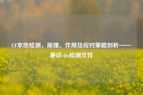 CF本地检测,原理、作用及应对策略剖析——兼谈cfm检测文件