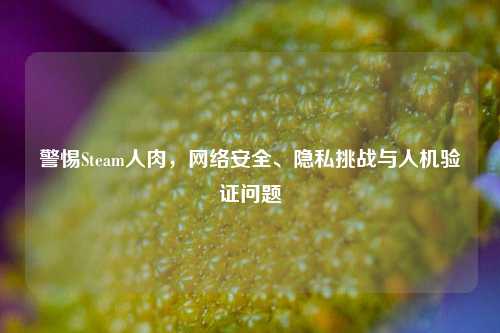 警惕Steam人肉, *** 安全、隐私挑战与人机验证问题
