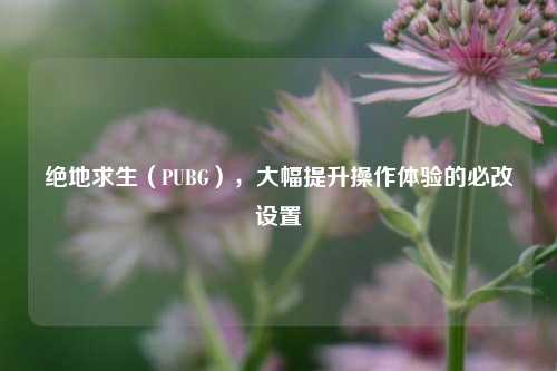 绝地求生(PUBG),大幅提升操作体验的必改设置