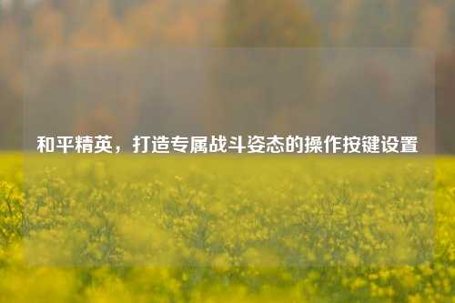 和平精英,打造专属战斗姿态的操作按键设置