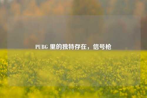 PUBG 里的独特存在,信号枪
