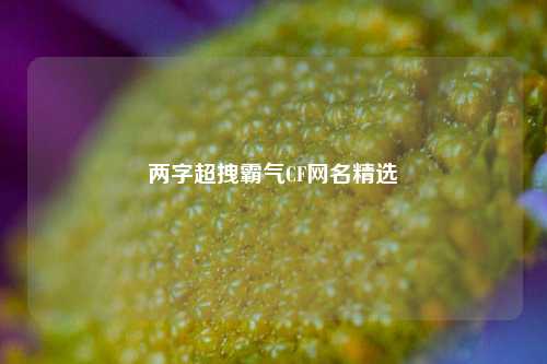 两字超拽霸气CF网名精选
